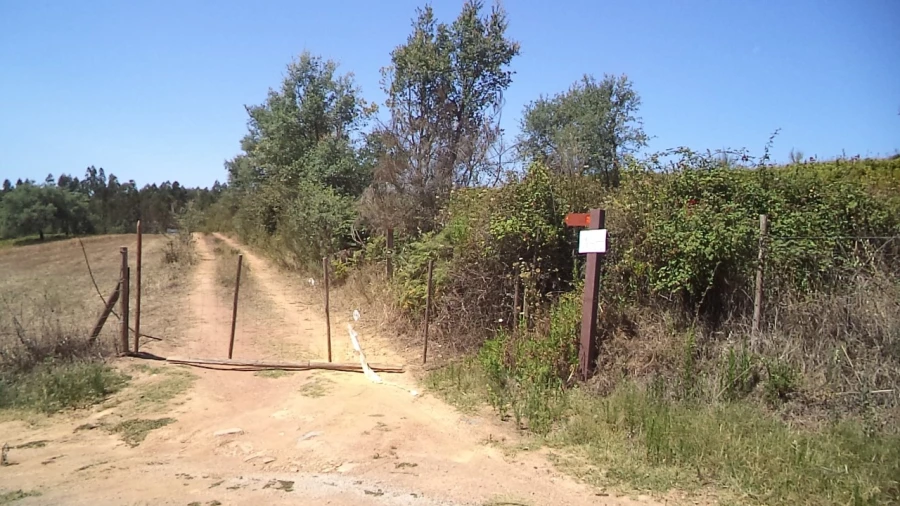 Moradia T2 para Venda em Alegrete Foto 39