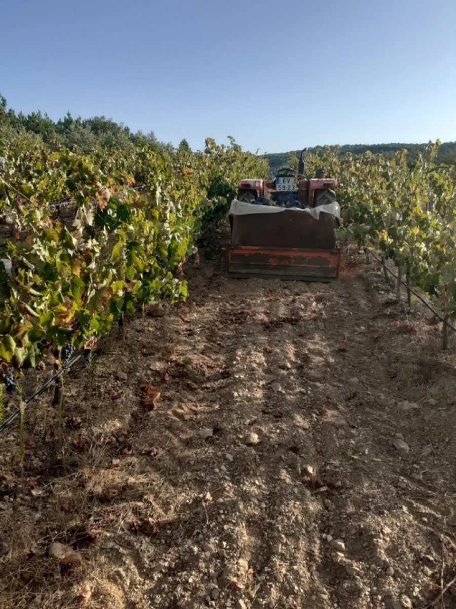 Moradia T3 para Venda em Alegrete Foto 3