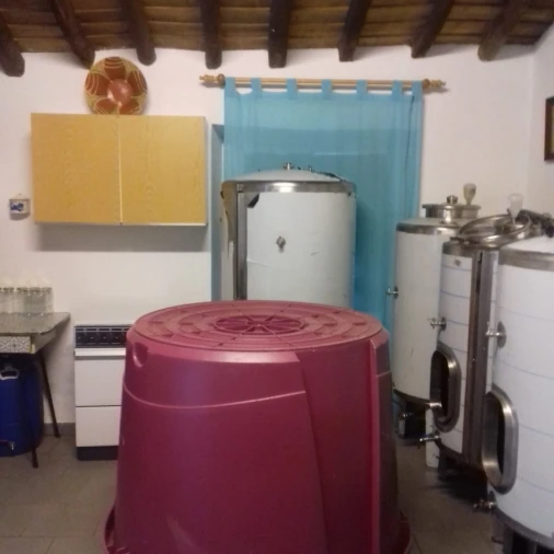 Moradia T3 para Venda em Alegrete Foto 13