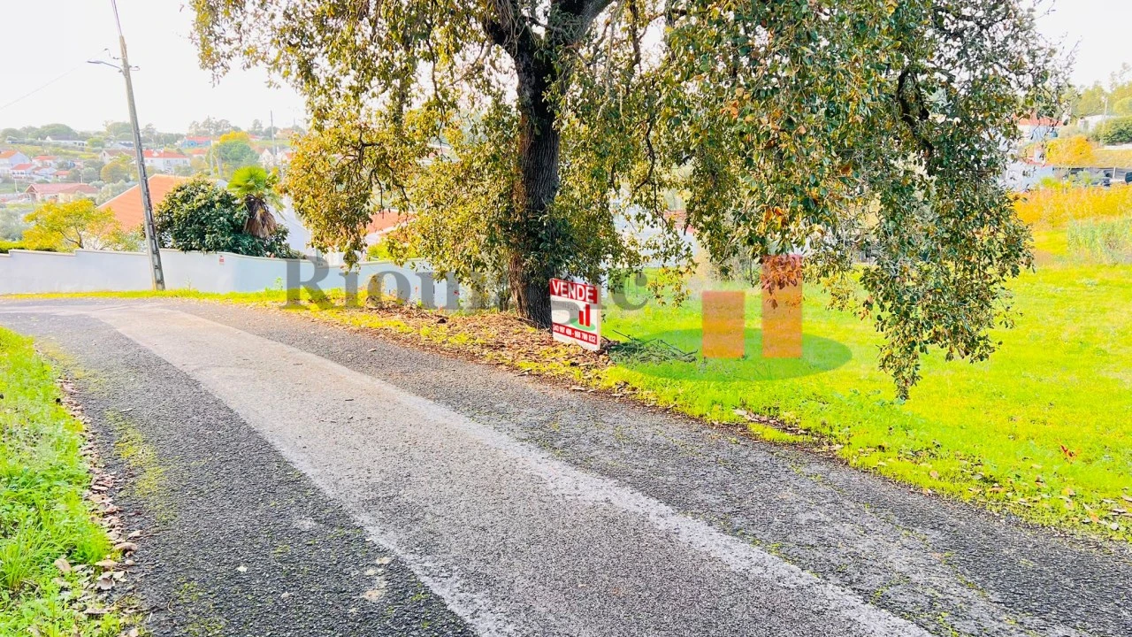 Terreno para Venda em São João da Ribeira e Ribeira de São João Foto 11