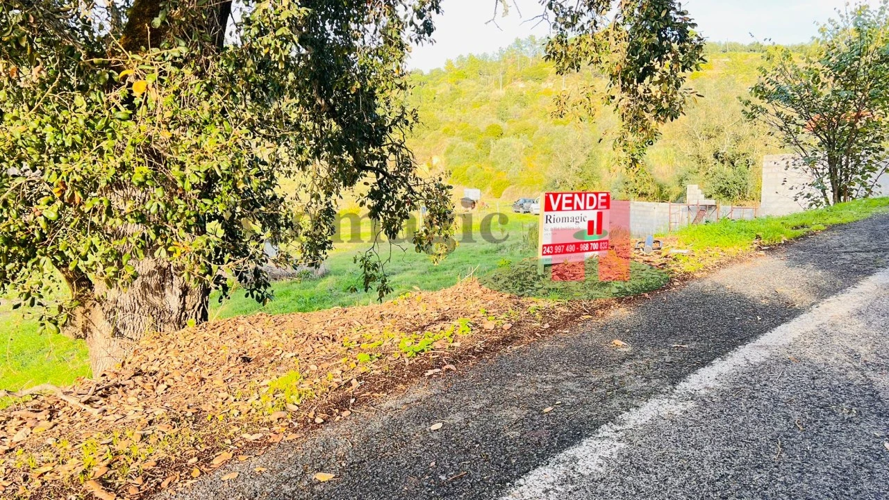 Terreno para Venda em São João da Ribeira e Ribeira de São João Foto 12