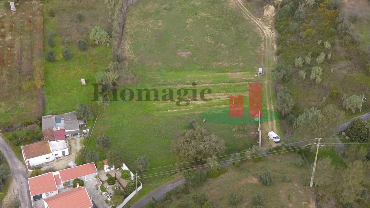 Terreno para Venda em São João da Ribeira e Ribeira de São João Foto 9