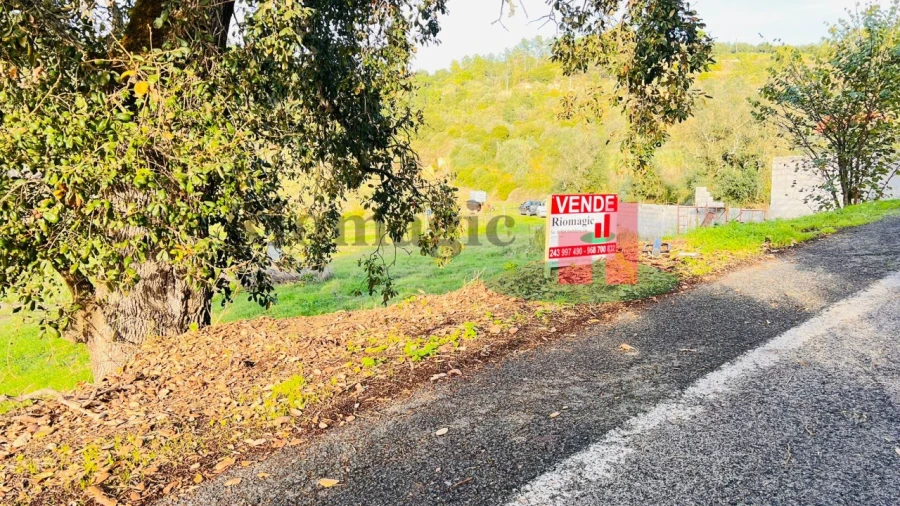 Terreno para Venda em São João da Ribeira e Ribeira de São João Foto 12