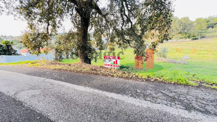 Terreno para Venda em São João da Ribeira e Ribeira de São João Foto 14