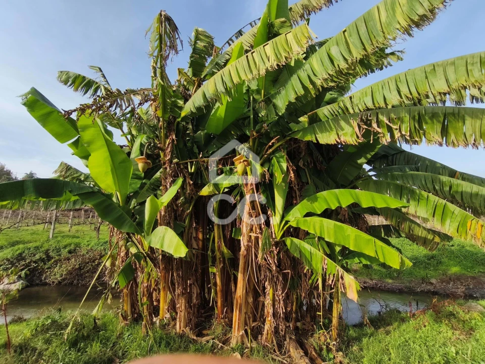 Terreno para Venda em Gondar Foto 6