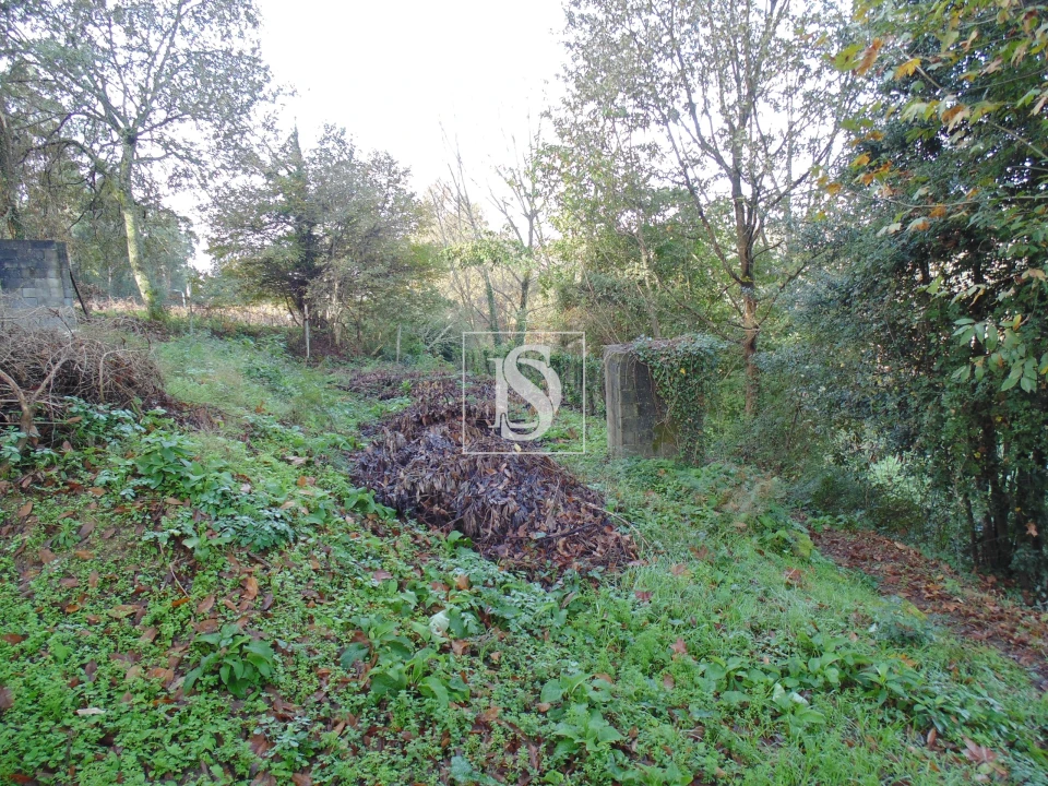 Terreno para Venda em Antime e Silvares (São Clemente) Foto 3