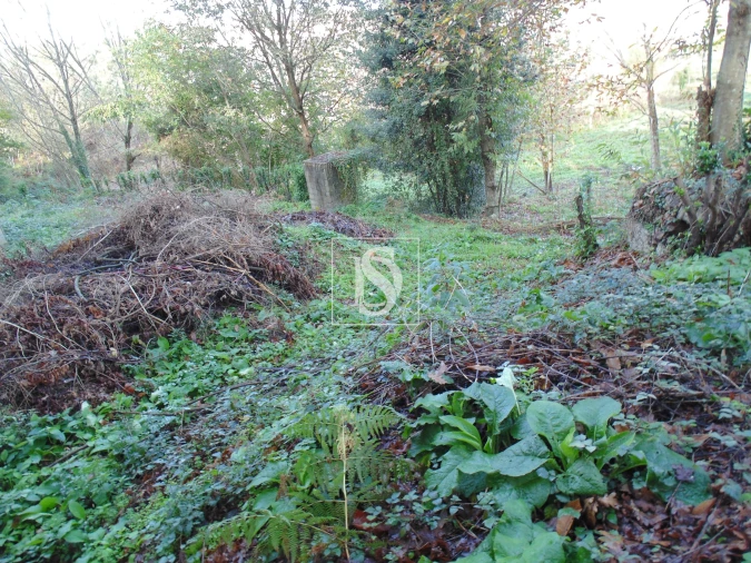 Terreno para Venda em Antime e Silvares (São Clemente) Foto 4