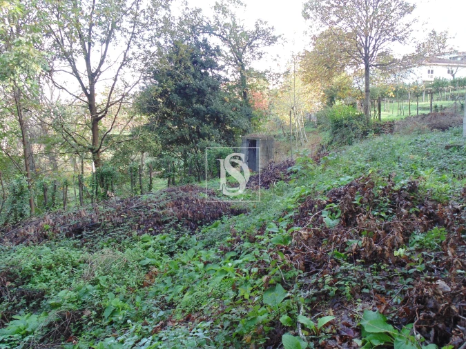 Terreno para Venda em Antime e Silvares (São Clemente) Foto 2