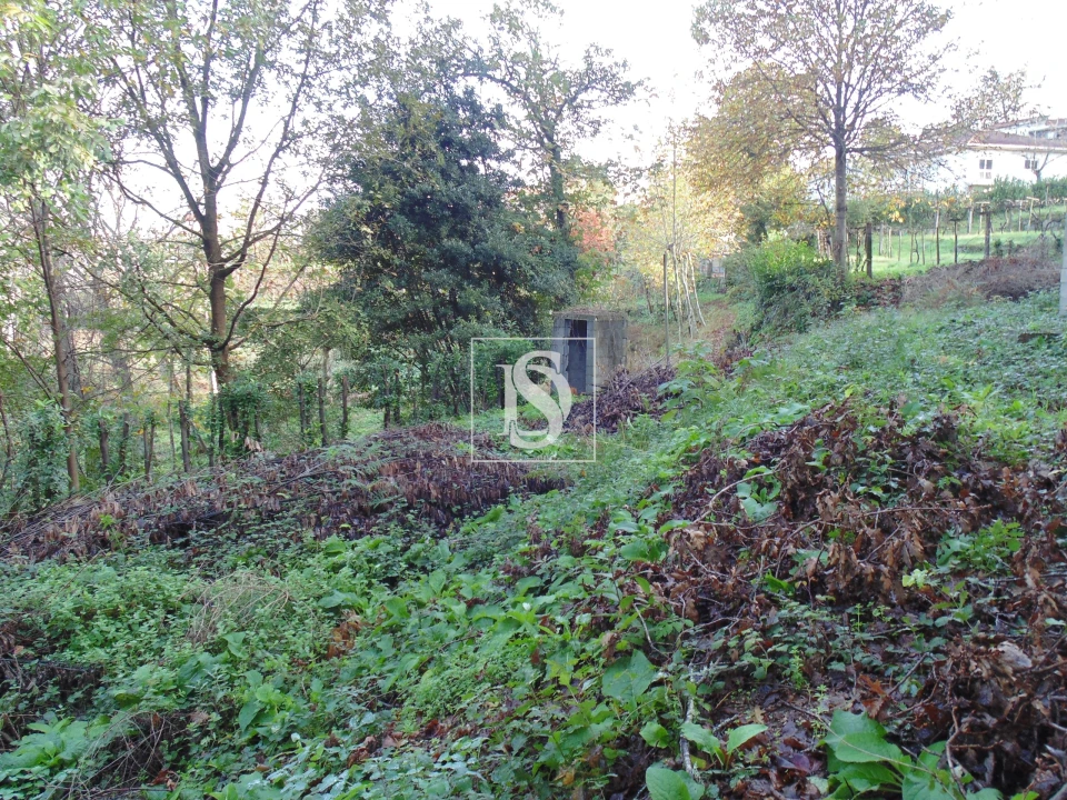 Terreno para Venda em Antime e Silvares (São Clemente) Foto 2