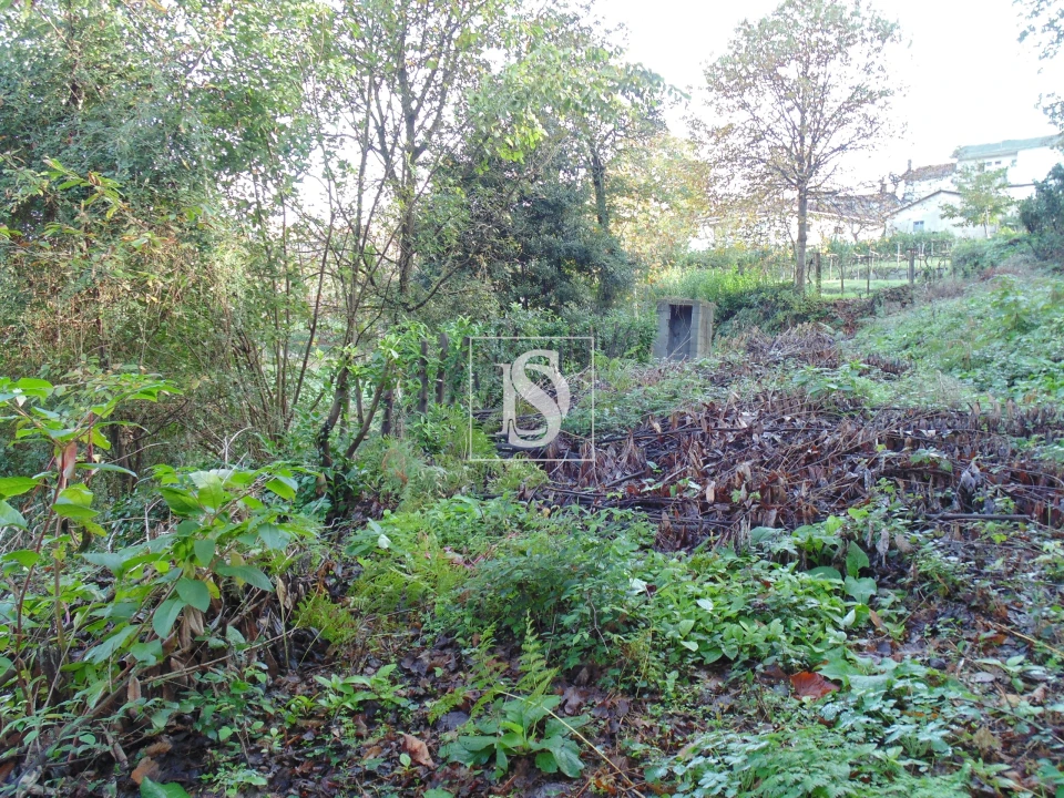Terreno para Venda em Antime e Silvares (São Clemente) Foto 1