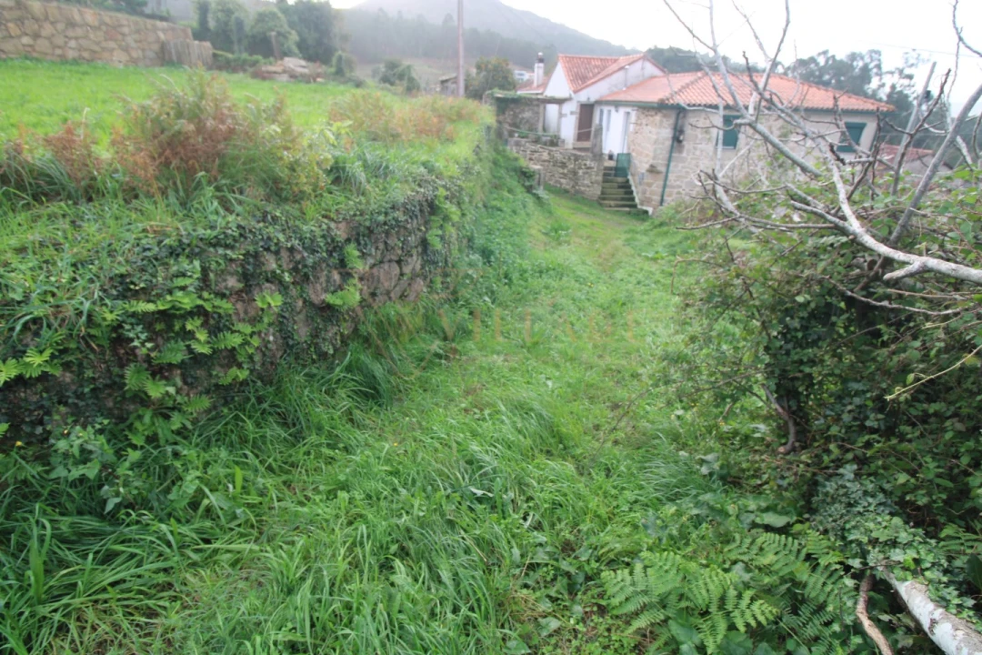 Terreno para Venda em Gondarem Foto 6