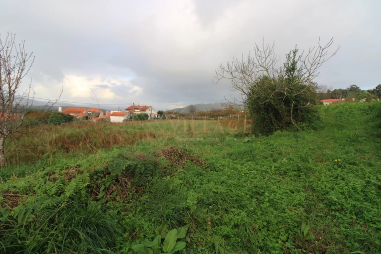 Terreno para Venda em Gondarem