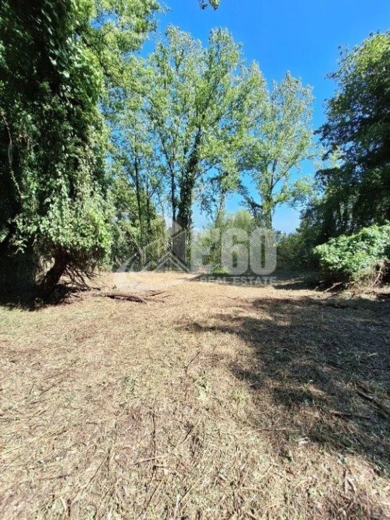 Quinta T2 para Venda em Oliveira do Douro Foto 4