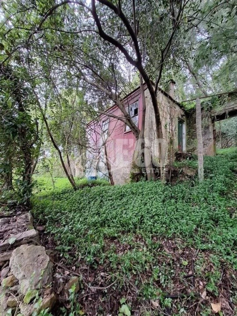 Quinta T2 para Venda em Oliveira do Douro Foto 5