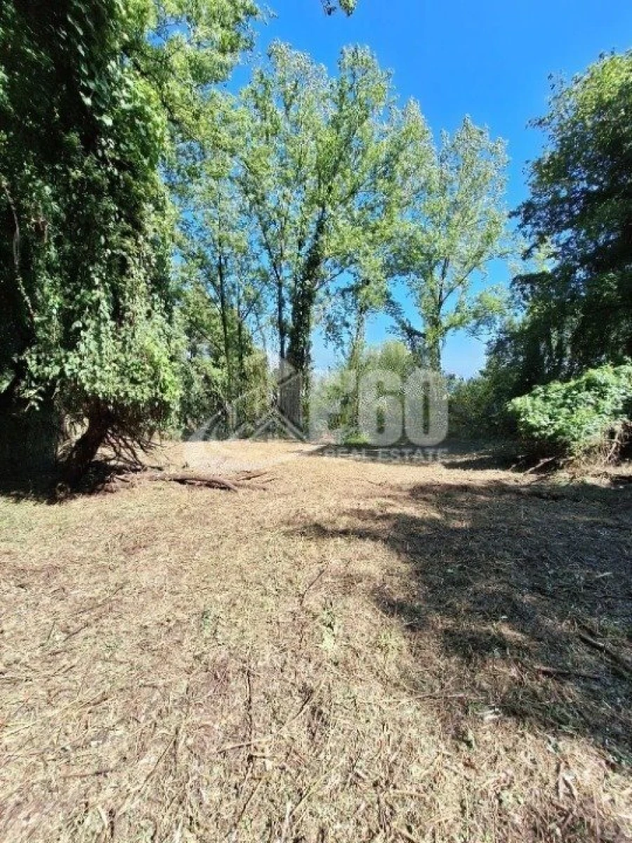 Quinta T2 para Venda em Oliveira do Douro Foto 4