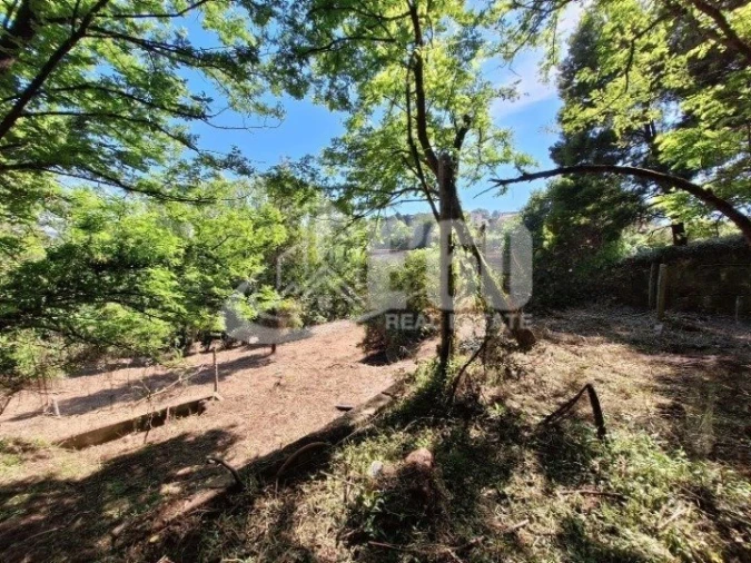 Quinta T2 para Venda em Oliveira do Douro