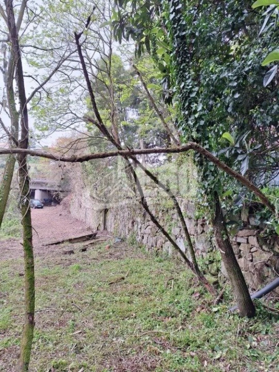 Quinta T2 para Venda em Oliveira do Douro Foto 8