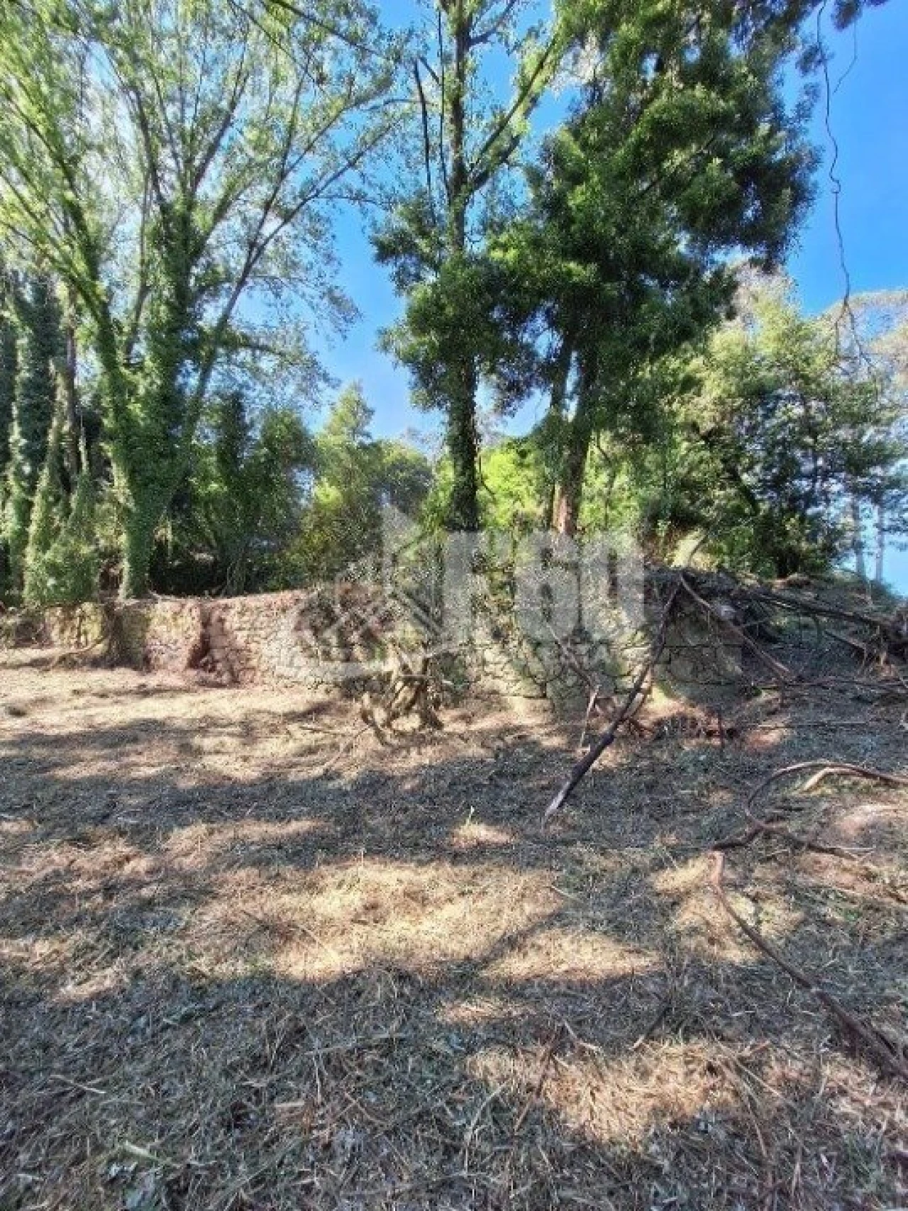 Quinta T2 para Venda em Oliveira do Douro Foto 3