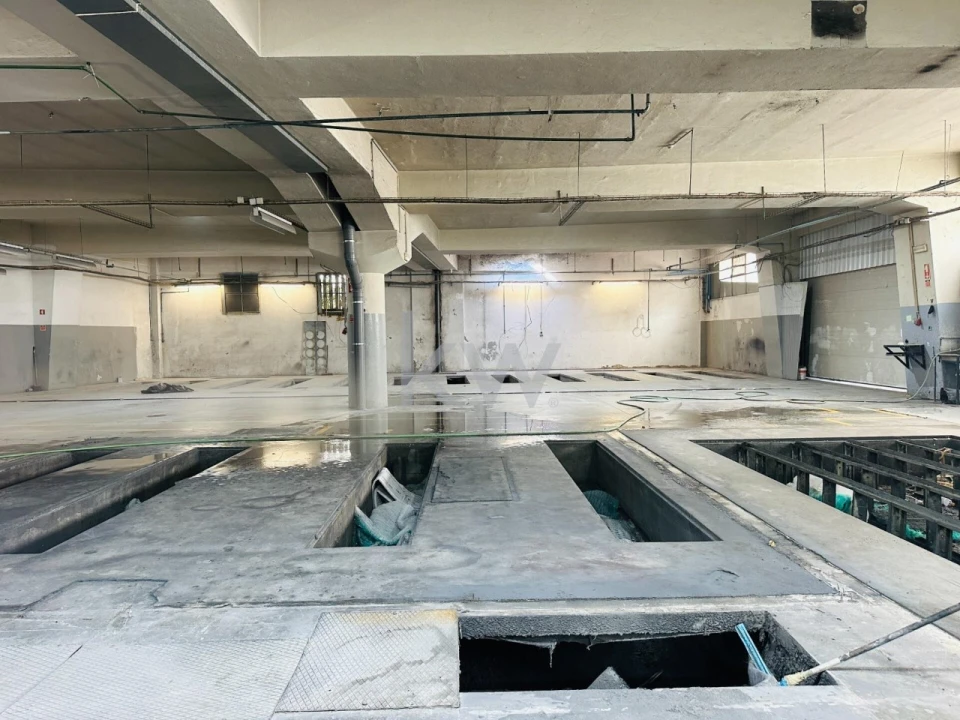 Armazém para Arrendamento em São Vicente Foto 13