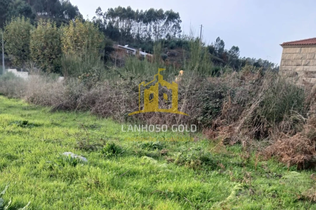 Terreno para Venda em Calvos e Frades Foto 1