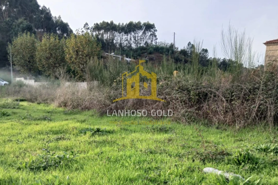 Terreno para Venda em Calvos e Frades Foto 10