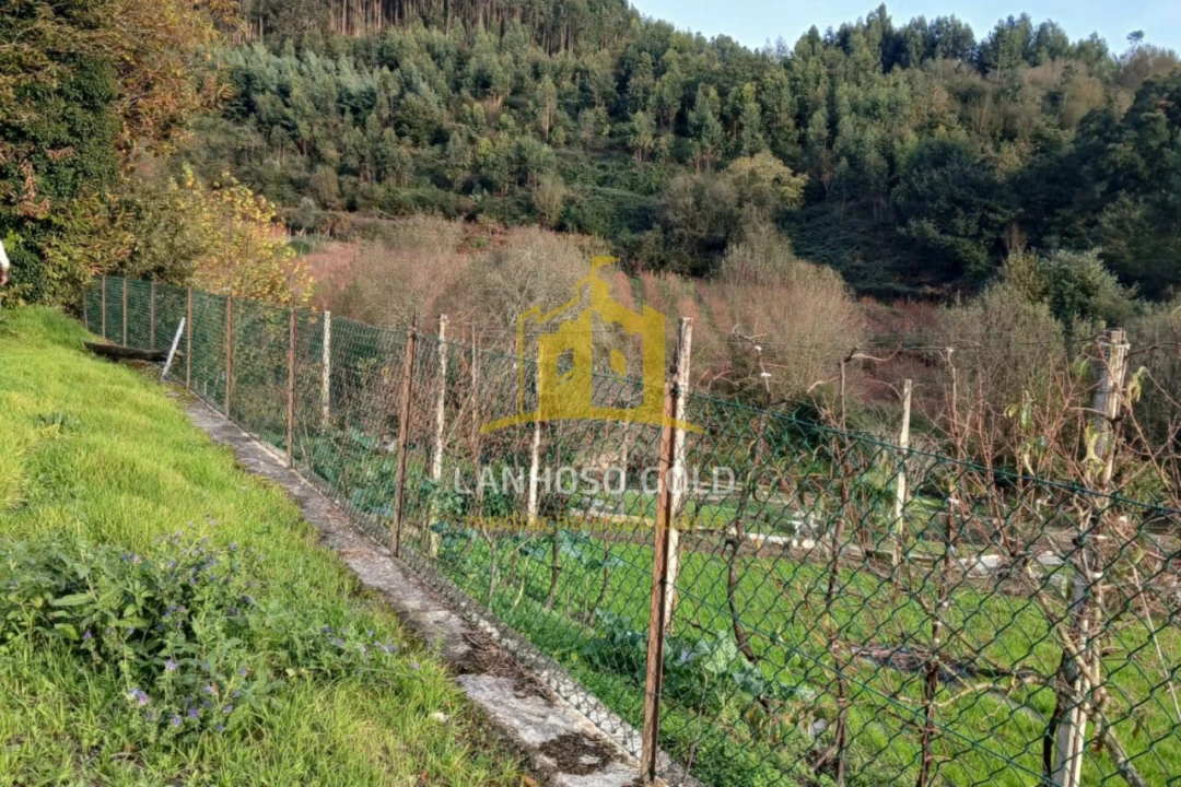 Terreno para Venda em Calvos e Frades Foto 17