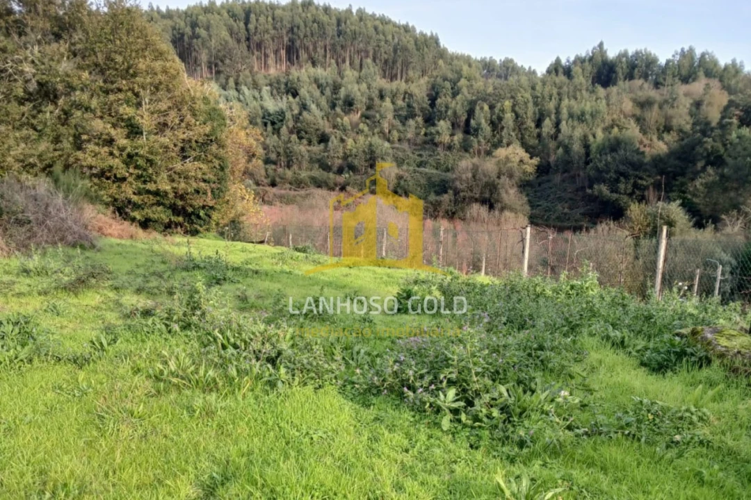 Terreno para Venda em Calvos e Frades Foto 19