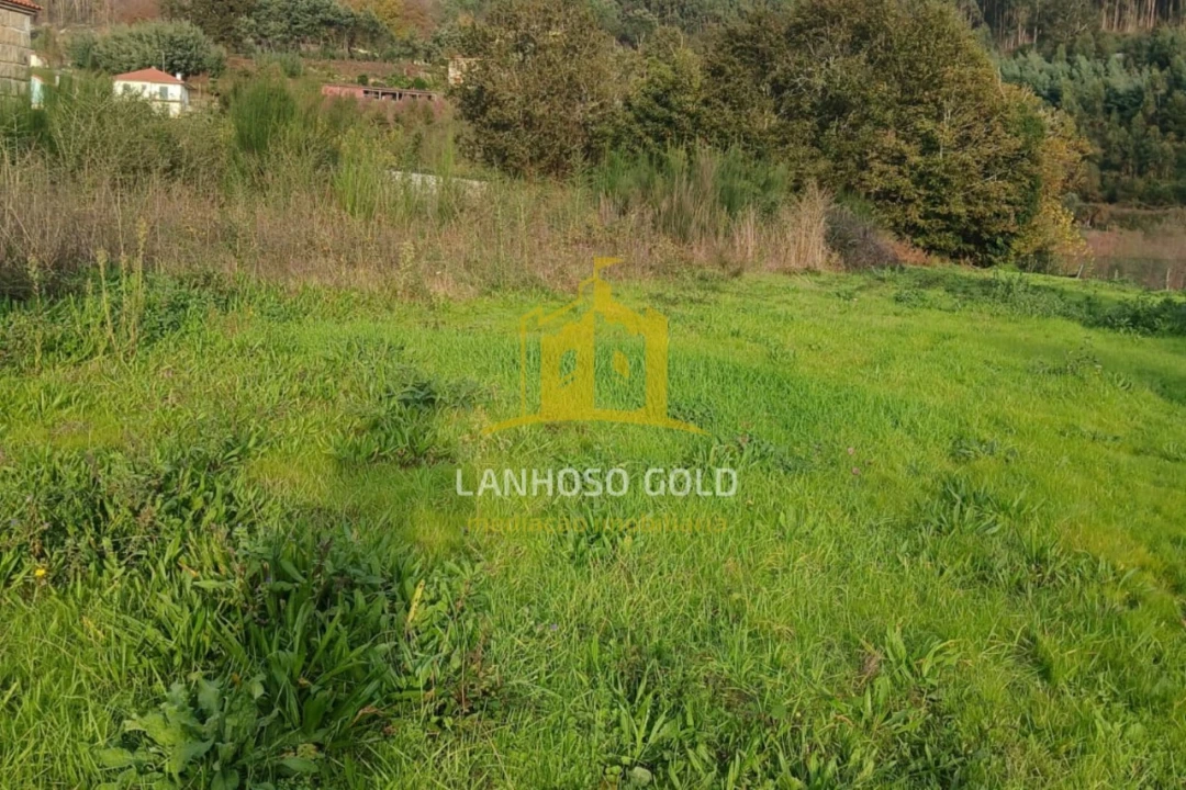 Terreno para Venda em Calvos e Frades Foto 20