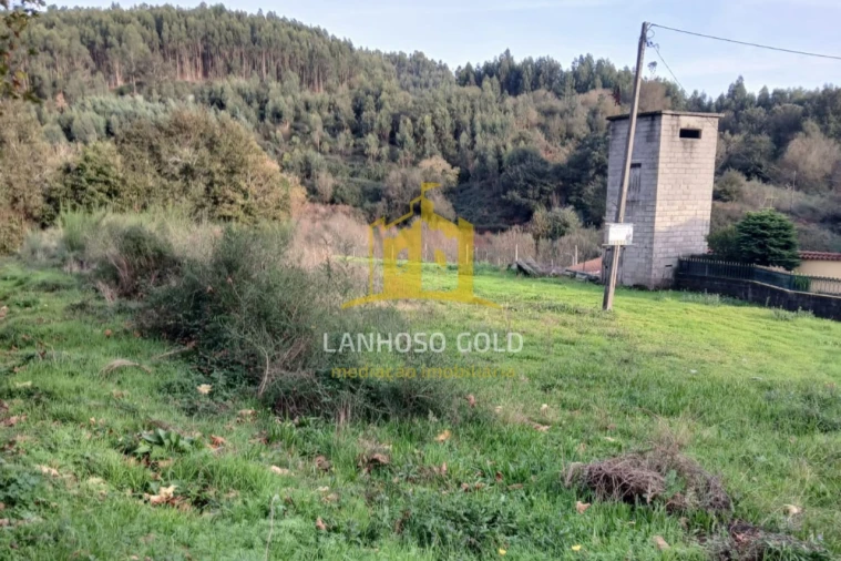 Terreno para Venda em Calvos e Frades Foto 3