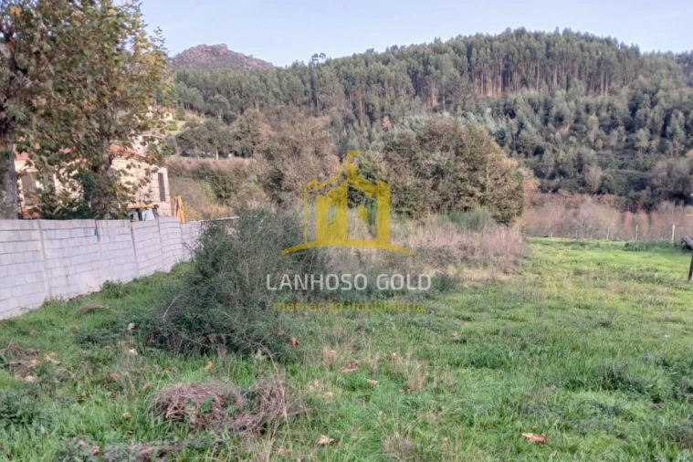 Terreno para Venda em Calvos e Frades Foto 6