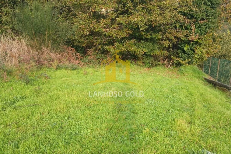 Terreno para Venda em Calvos e Frades Foto 9