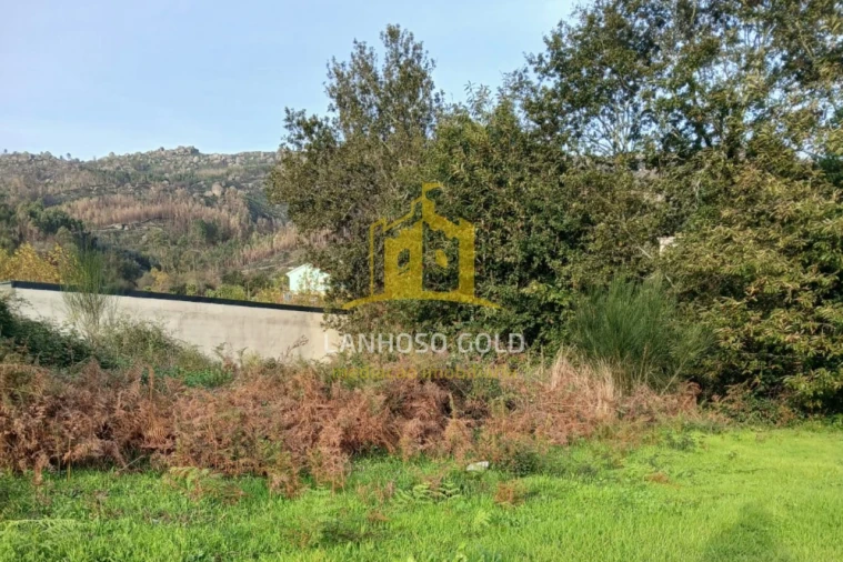 Terreno para Venda em Calvos e Frades Foto 12