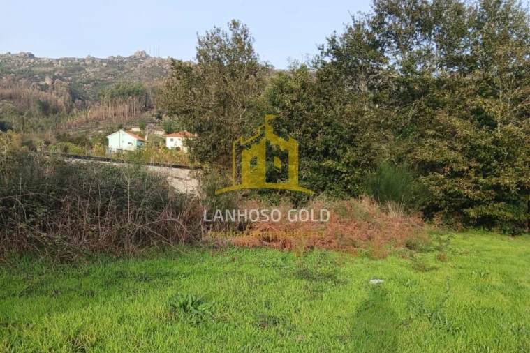 Terreno para Venda em Calvos e Frades Foto 13