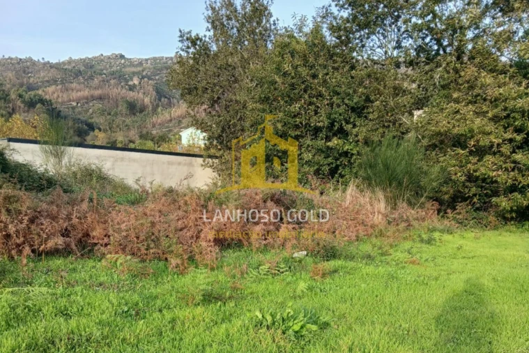 Terreno para Venda em Calvos e Frades Foto 16