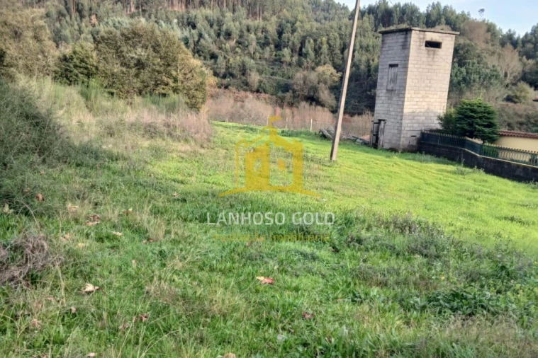 Terreno para Venda em Calvos e Frades Foto 22