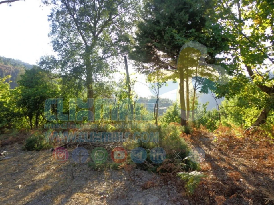 Terreno para Venda em Louredo Foto 4
