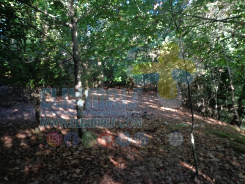 Terreno para Venda em Louredo Foto 9