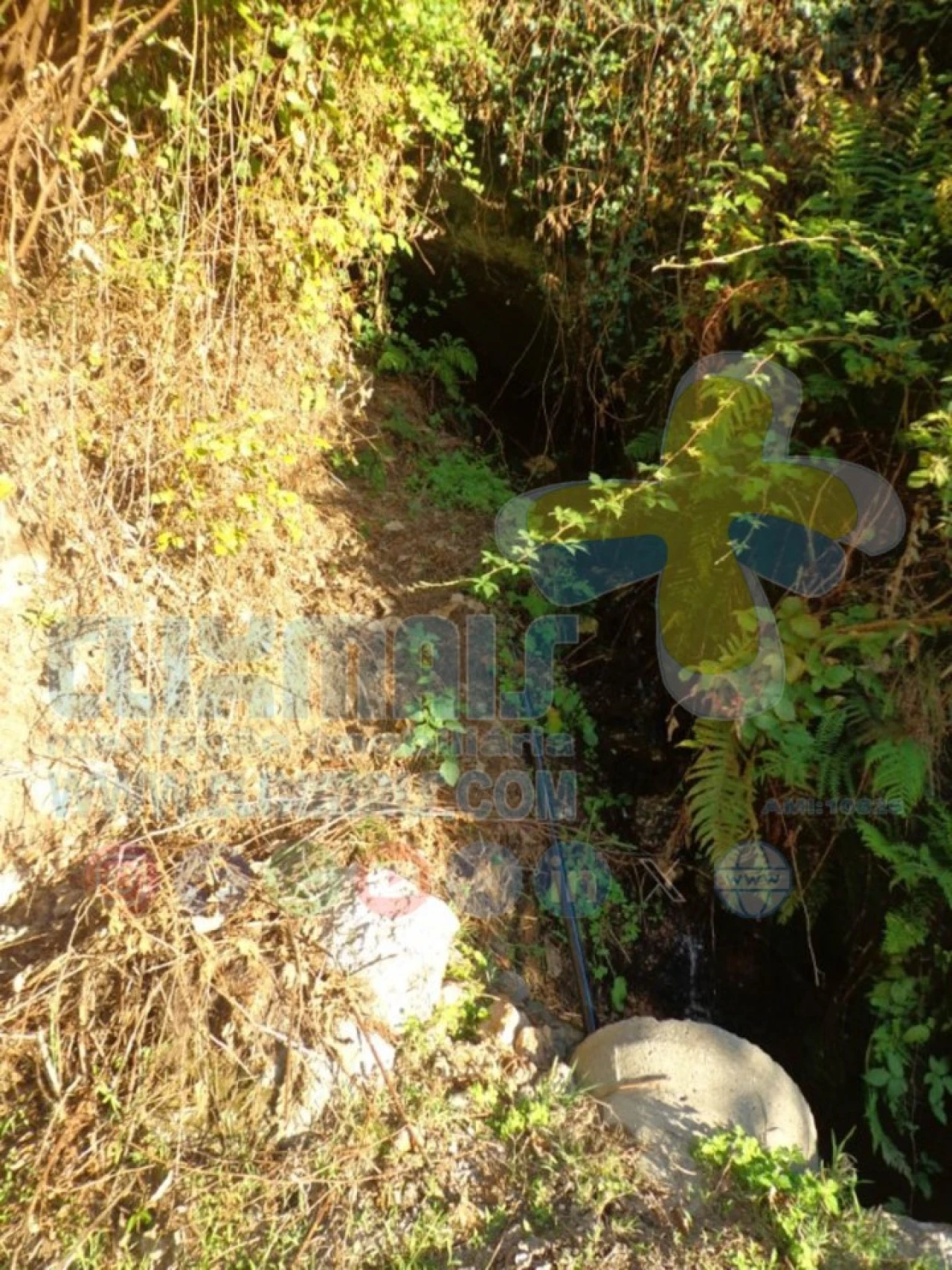 Terreno para Venda em Louredo Foto 11