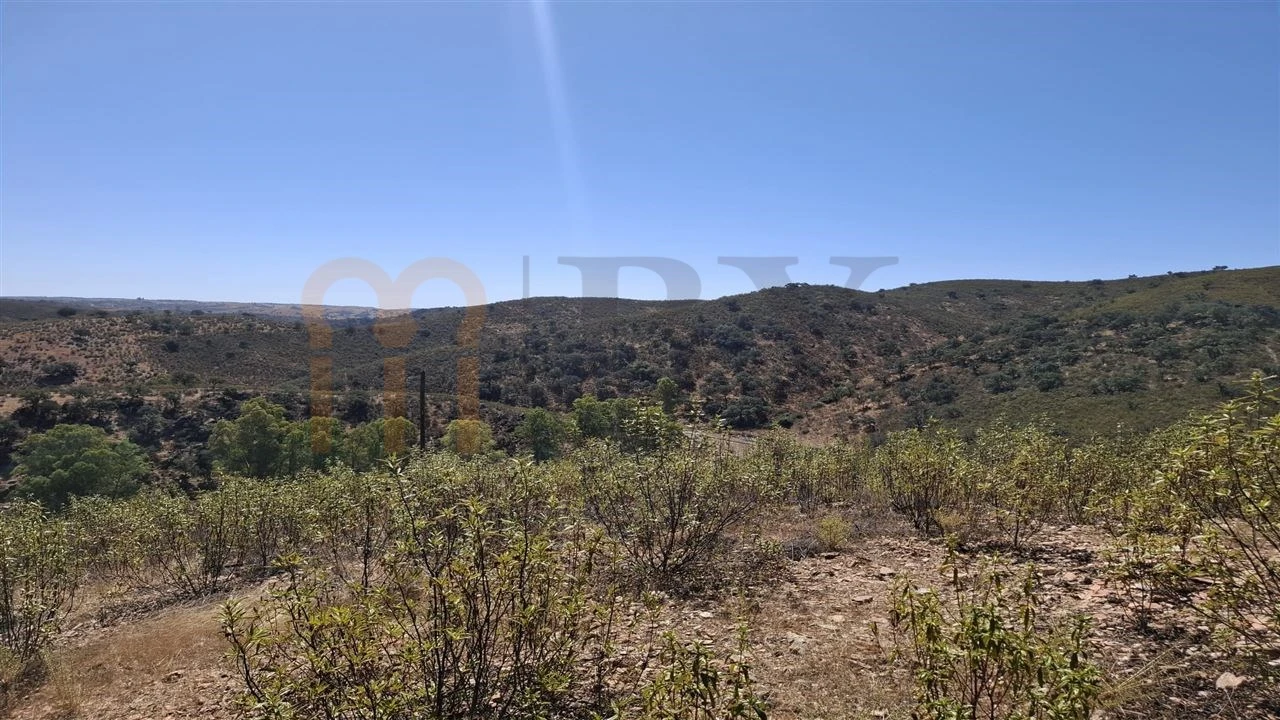 Terreno Agricola ou Rústico para Venda em Corte do Pinto Foto 1