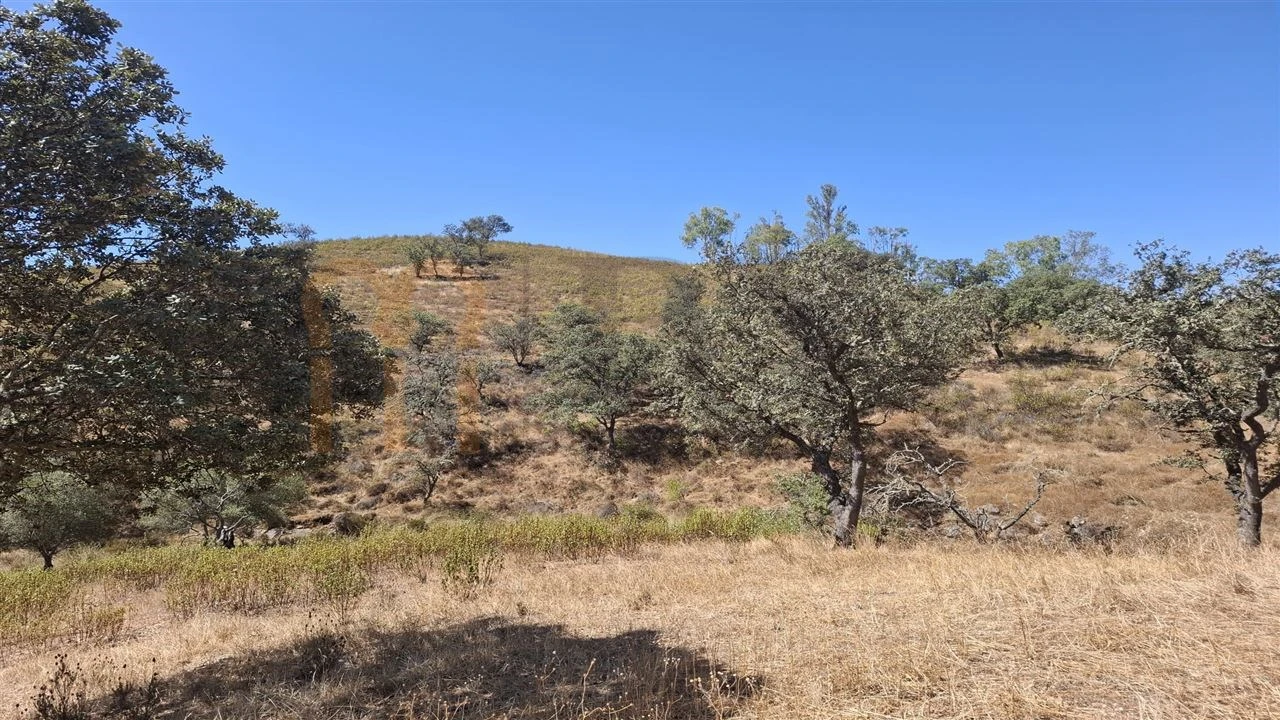 Terreno Agricola ou Rústico para Venda em Corte do Pinto Foto 11