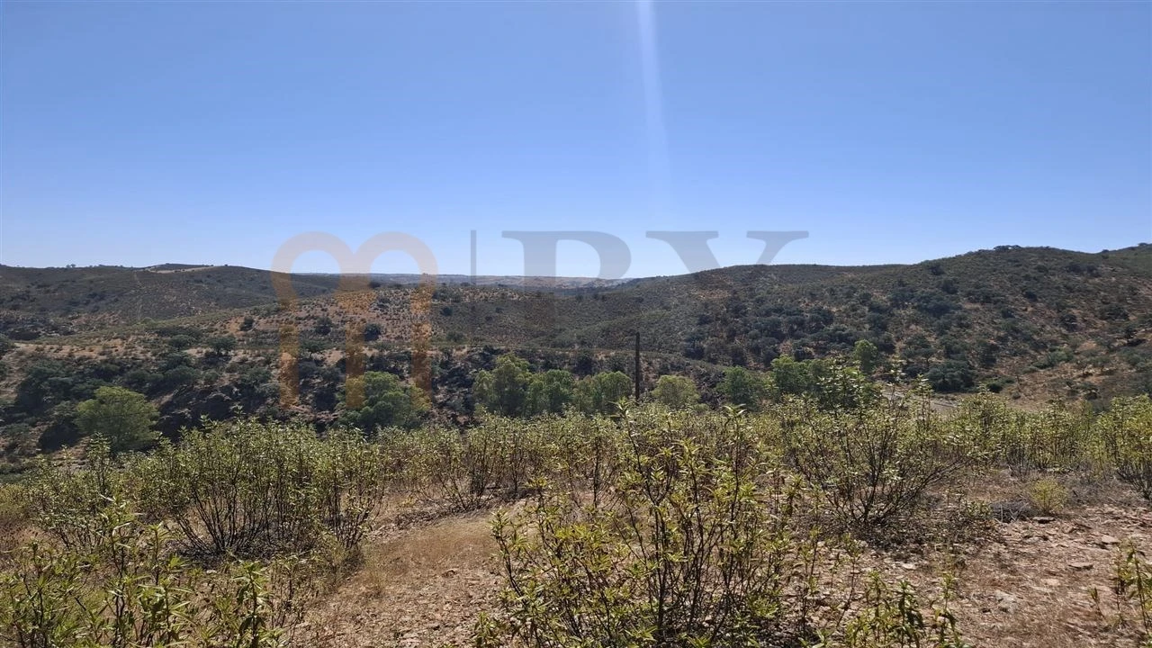 Terreno Agricola ou Rústico para Venda em Corte do Pinto Foto 15