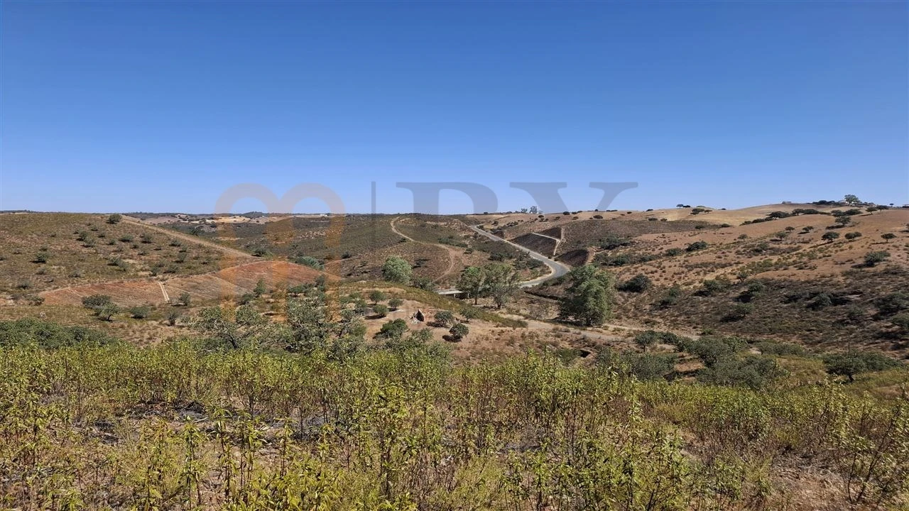 Terreno Agricola ou Rústico para Venda em Corte do Pinto Foto 16
