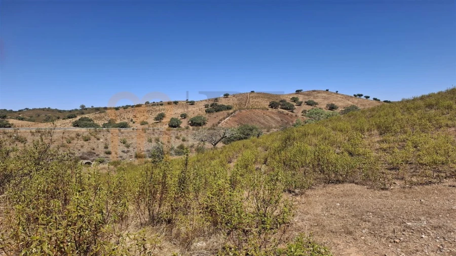 Terreno Agricola ou Rústico para Venda em Corte do Pinto Foto 3