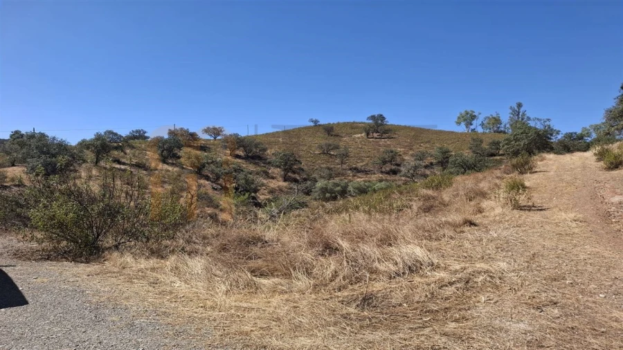 Terreno Agricola ou Rústico para Venda em Corte do Pinto Foto 5