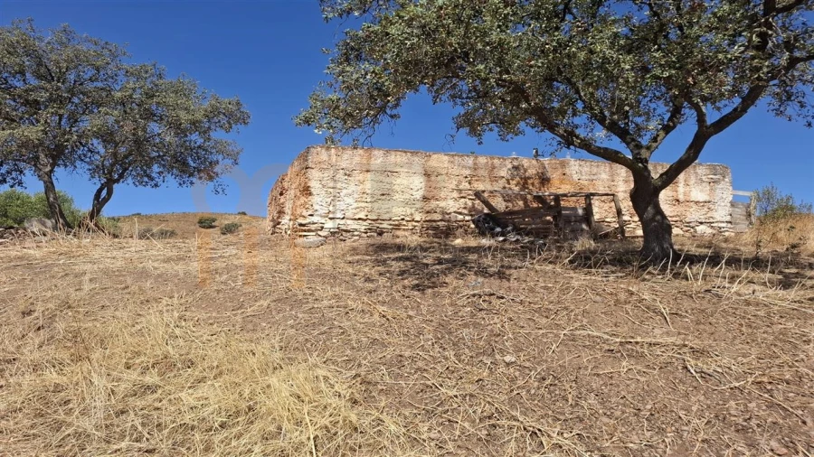 Terreno Agricola ou Rústico para Venda em Corte do Pinto Foto 8