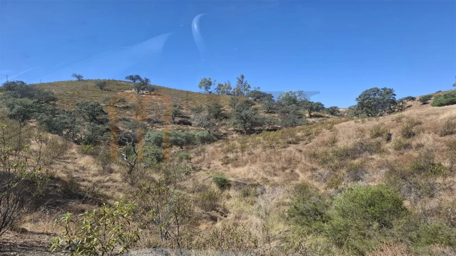 Terreno Agricola ou Rústico para Venda em Corte do Pinto Foto 12