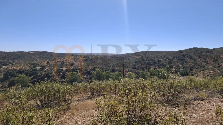 Terreno Agricola ou Rústico para Venda em Corte do Pinto Foto 15