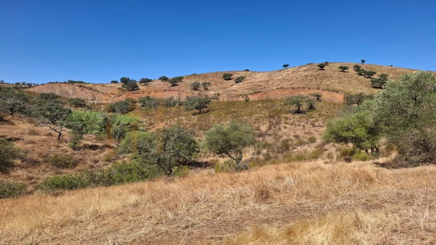 Terreno Agricola ou Rústico para Venda em Corte do Pinto Foto 17