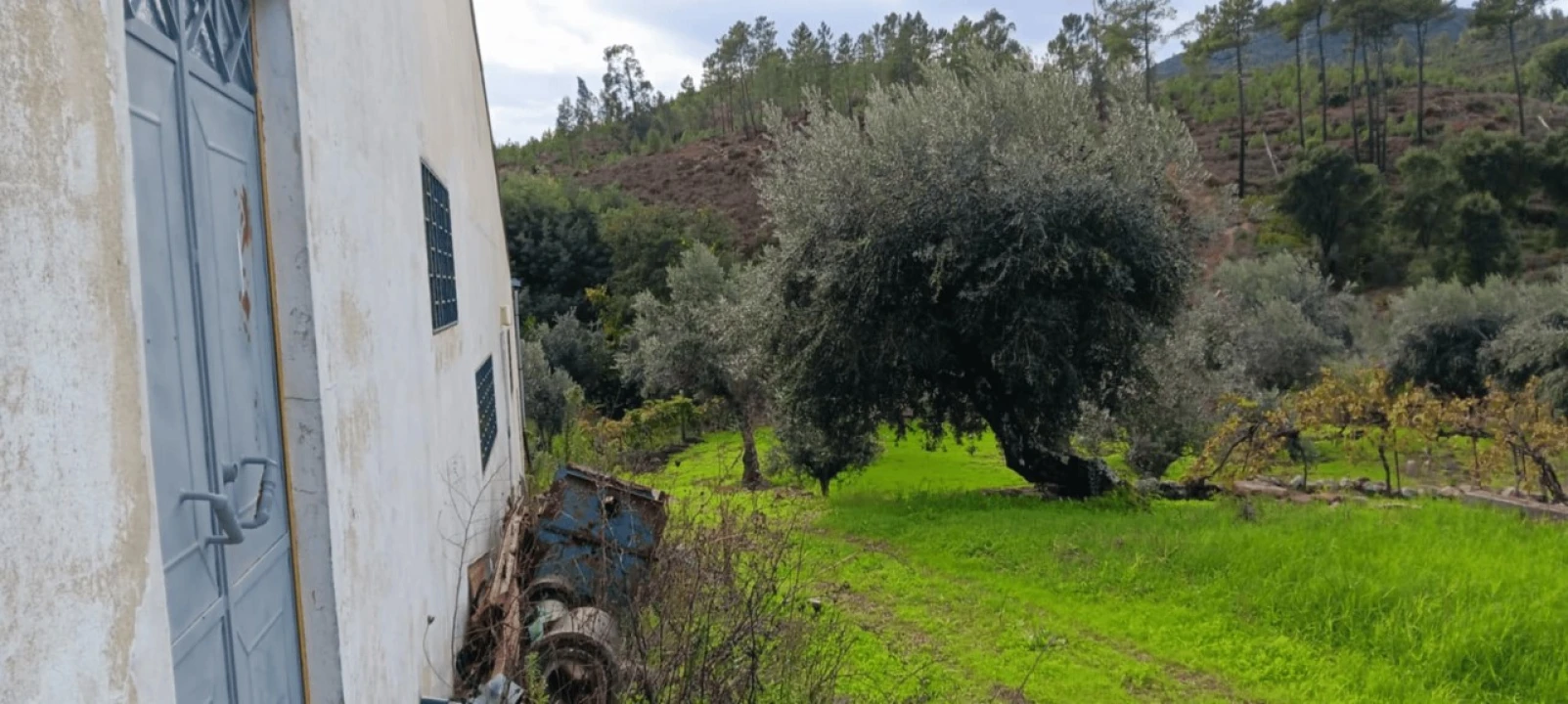 Armazém para Venda em Mação, Penhascoso e Aboboreira Foto 7