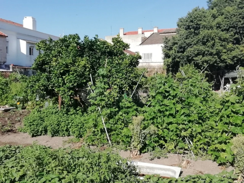 Terreno para Venda em União das Freguesias de Setúbal Foto 7